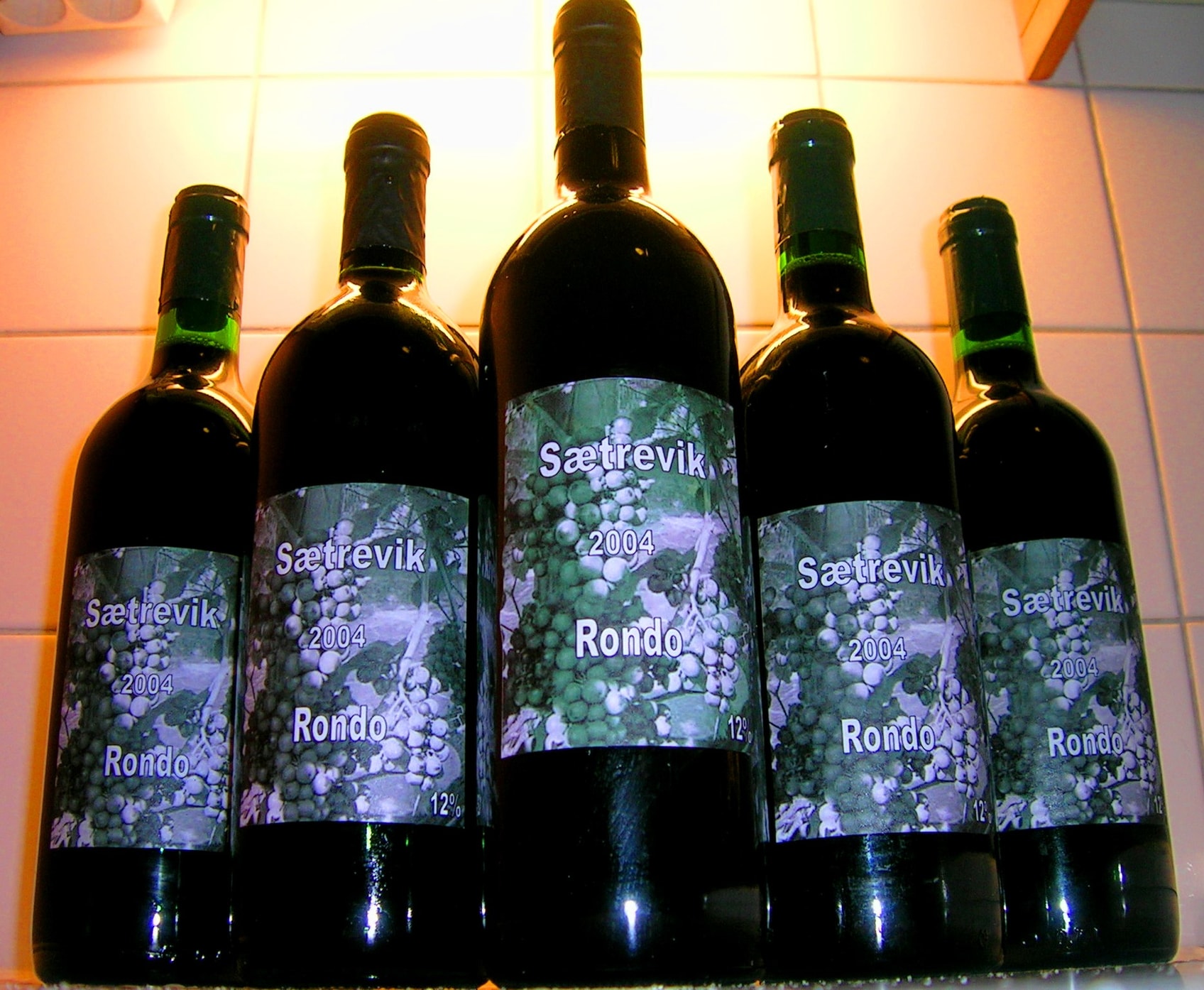 Rondo 2004 — et bra år