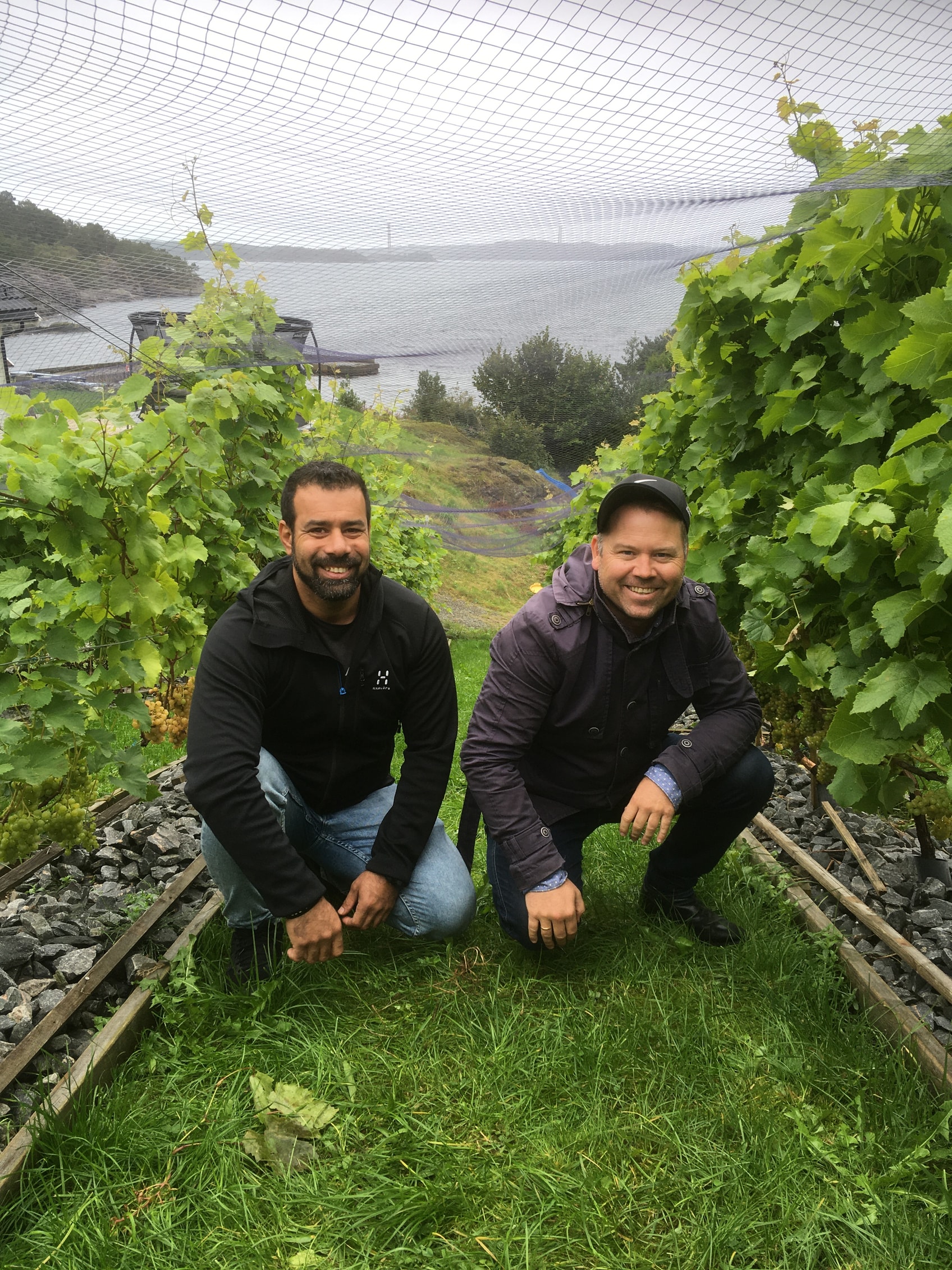 De er i startgropen med drueplanting på Karmøy.